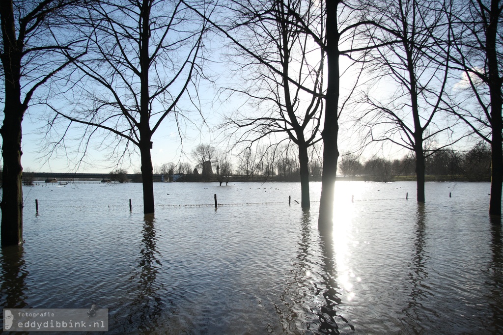 2011-01-20 Hoog water, Deventer_019